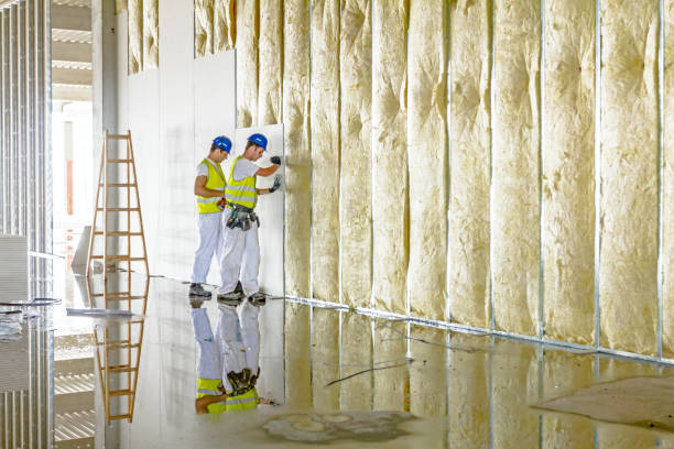 Dewitt, MI Insulation Services Company